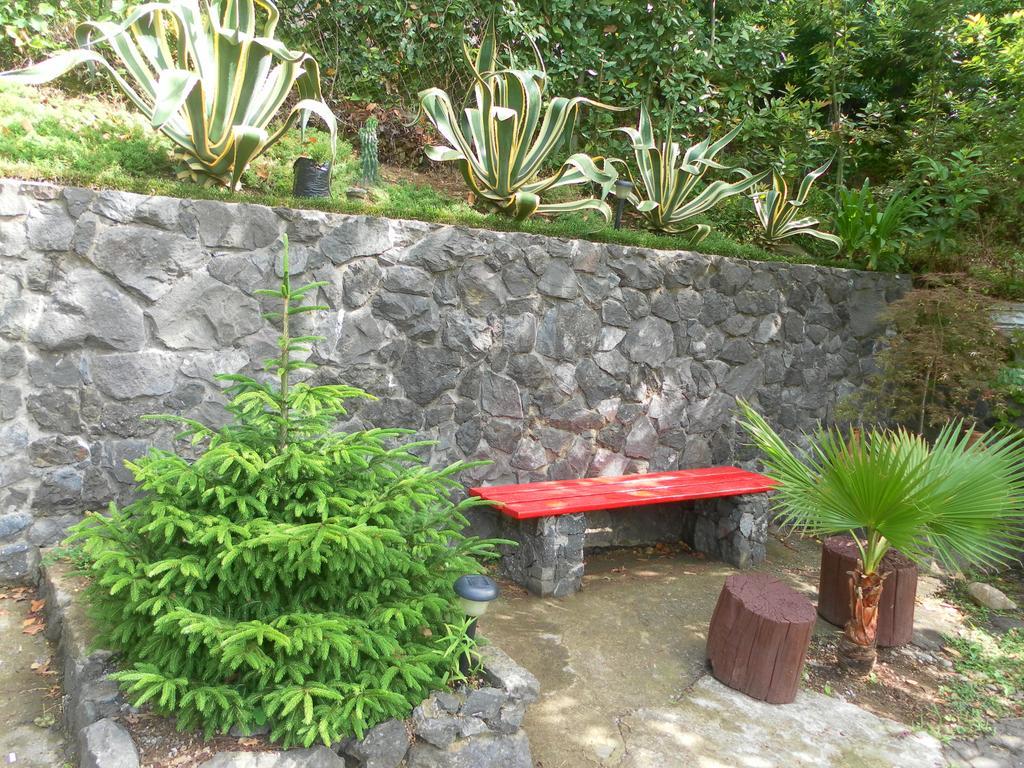 Holiday House Green Cape Batumi Ξενοδοχείο Mtsvane Konts'khi Εξωτερικό φωτογραφία