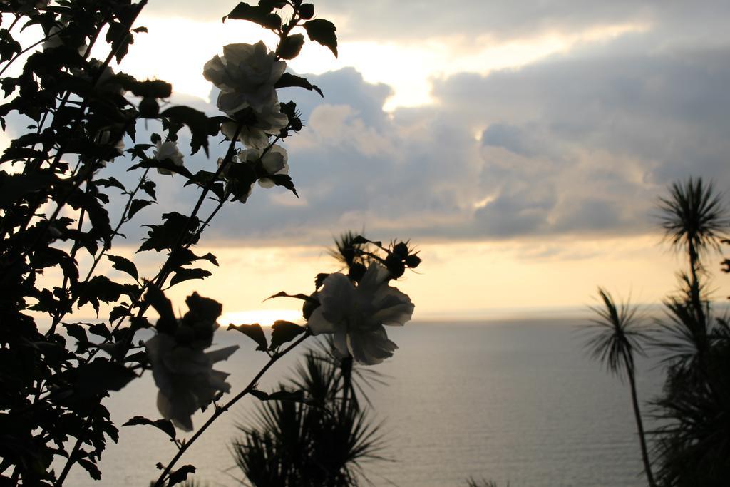 Holiday House Green Cape Batumi Ξενοδοχείο Mtsvane Konts'khi Εξωτερικό φωτογραφία