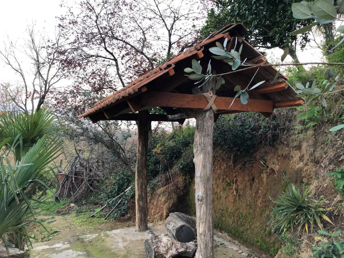 Holiday House Green Cape Batumi Ξενοδοχείο Mtsvane Konts'khi Εξωτερικό φωτογραφία