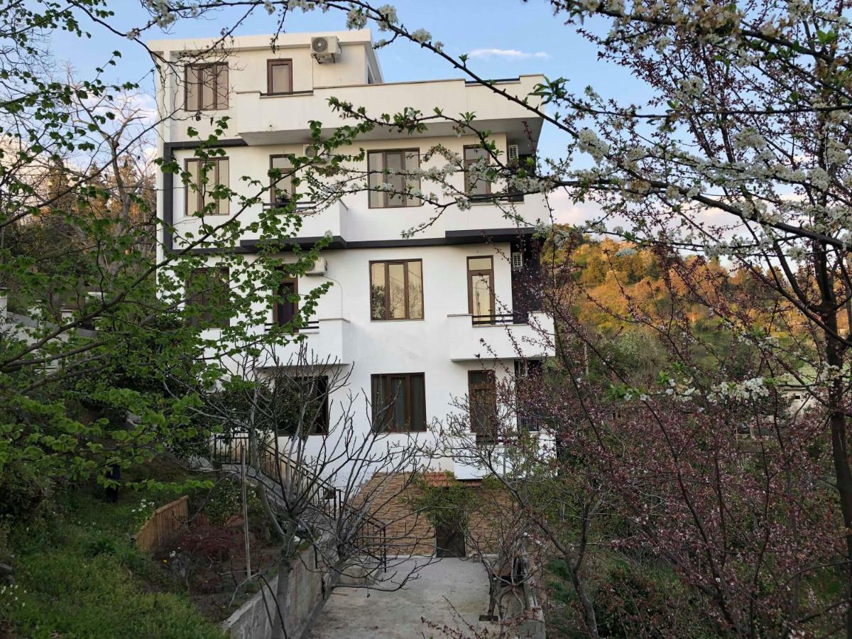 Holiday House Green Cape Batumi Ξενοδοχείο Mtsvane Konts'khi Εξωτερικό φωτογραφία