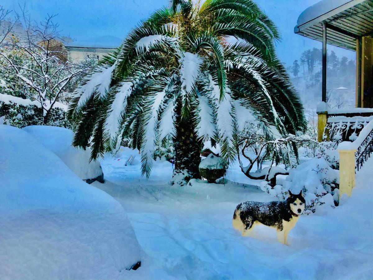 Holiday House Green Cape Batumi Ξενοδοχείο Mtsvane Konts'khi Εξωτερικό φωτογραφία